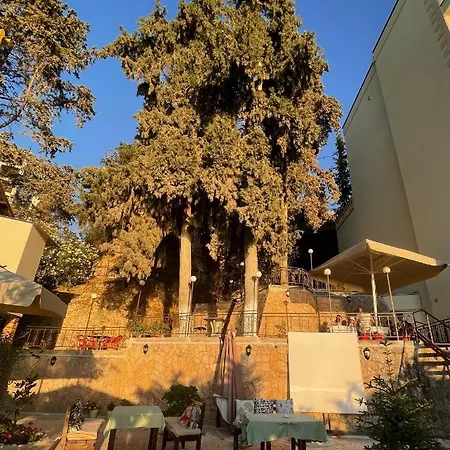 Hotel Tekada & Restaurant