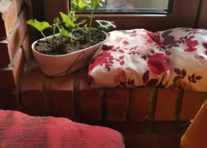 Hotel Tekada & Restaurant